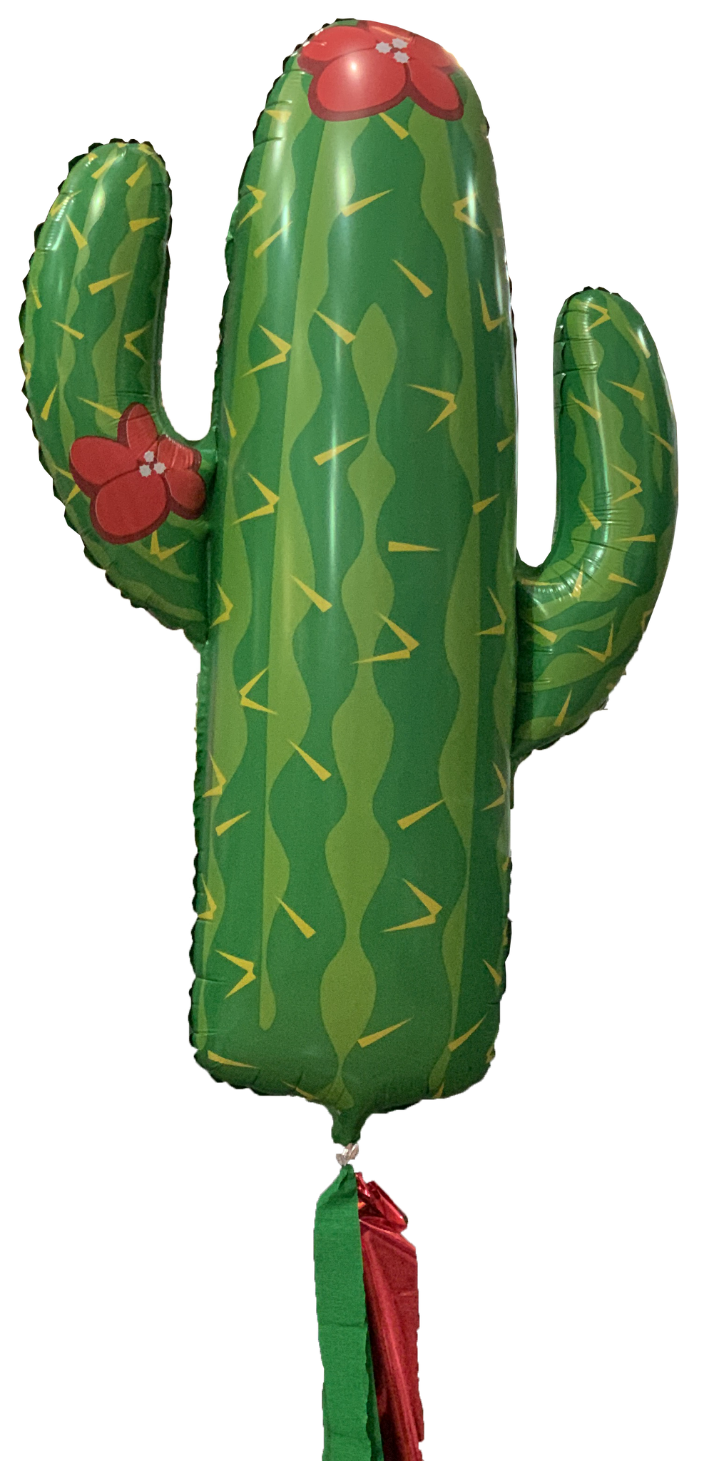 Globo cactus 36in